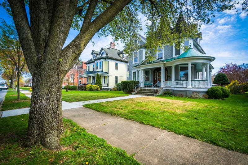 Tree and Houses on Clarke Place, in Frederick, Maryland. Stock Photo