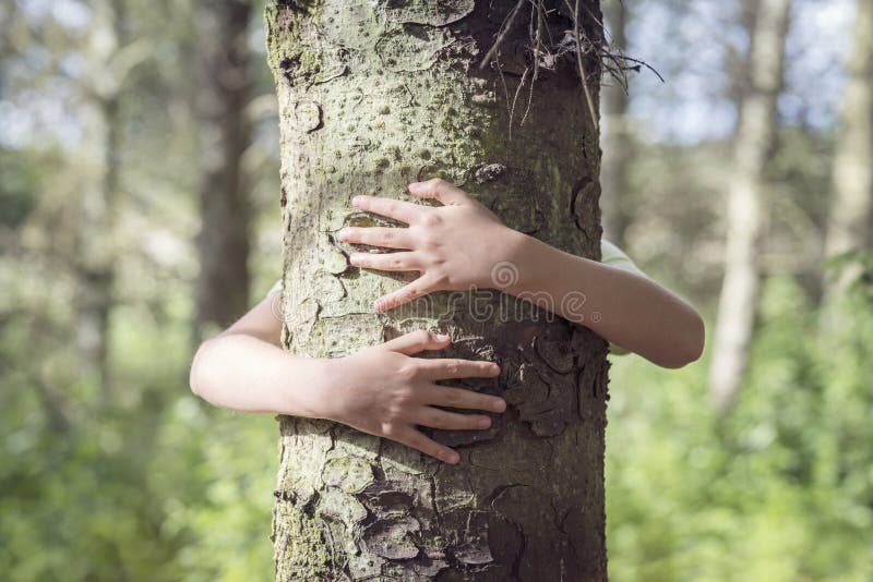 Tree hugging, little boy giving a tree a big hug. Tree hugging, little boy giving a tree a hug concept for love nature and conservation of environment stock image Tree hugging, little boy giving a tree a big hug. Tree hugging, little boy giving a tree a hug concept for love nature and conservation of environment stock image