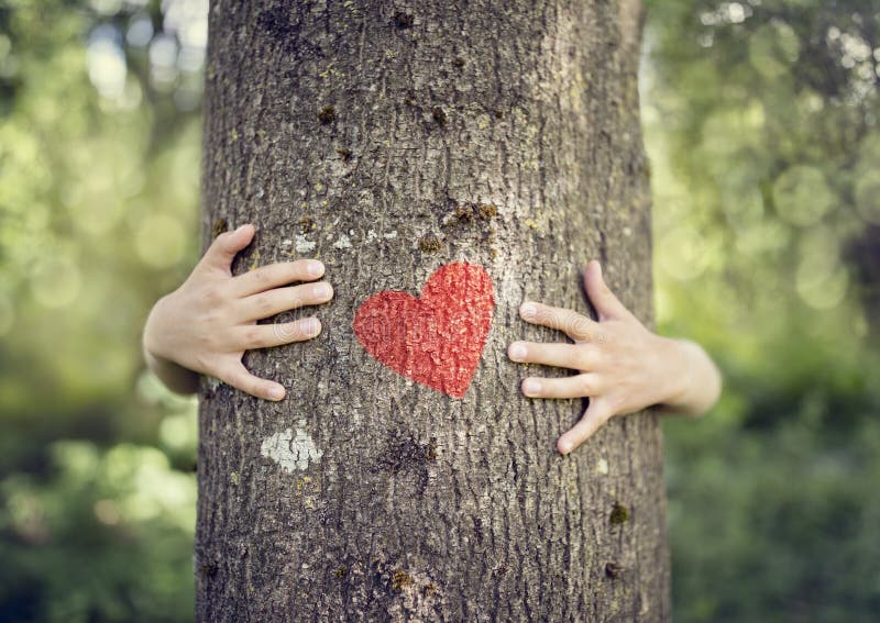 Tree hugging, love nature. Tree hugging, little boy giving a tree a hug with red heart concept for love nature royalty free stock photo