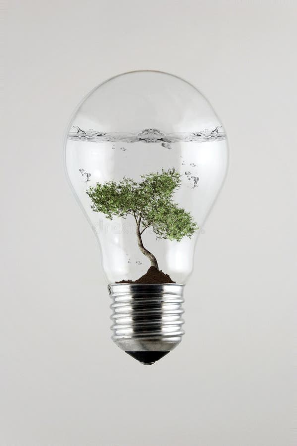 Tree inside Bulb stock illustration. Illustration of glass - 37868595