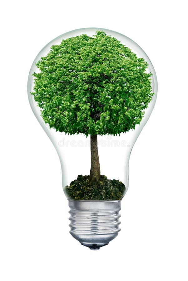 The tree inside of the light bulb isolated on white