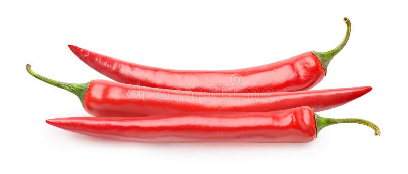 Tree isolated chili peppers stock photo Tree isolated chili peppers stock photo