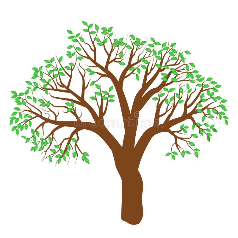 Alone Tree Illustration Vector