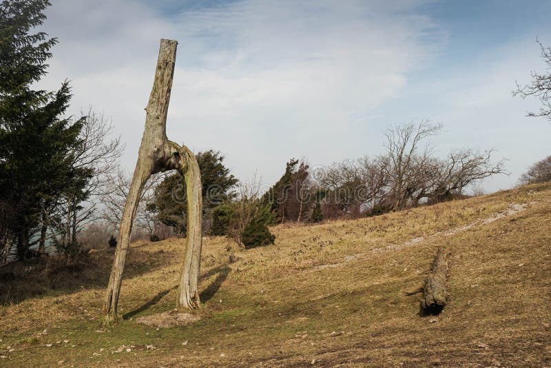 the knott at arnside