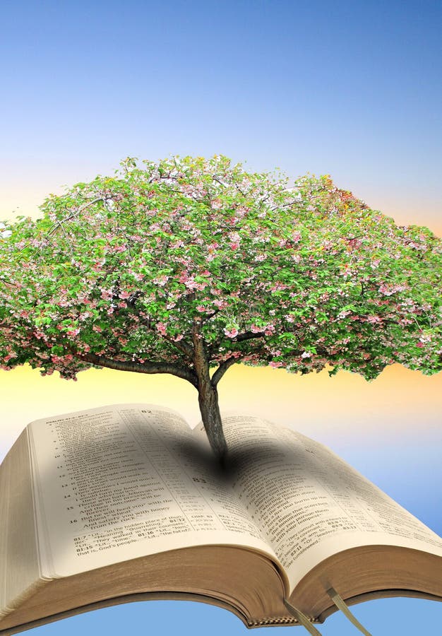 Tree of life bible