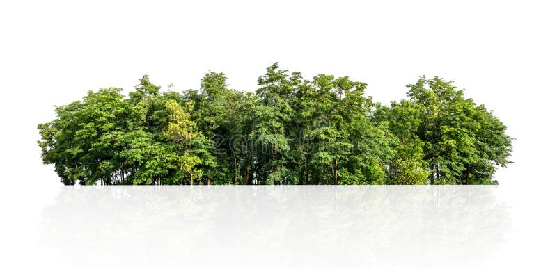 515 Tree Line Png Stock Photos - Free & Royalty-Free Stock Photos from  Dreamstime