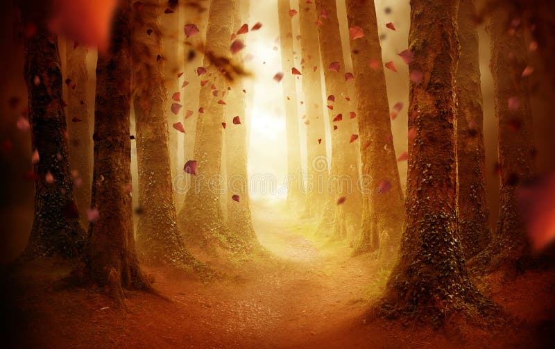 A tree lined pathway leading into a autumn coloured forest with falling leaves as the sun shines through. Photo composite. A tree lined pathway leading into a autumn coloured forest with falling leaves as the sun shines through. Photo composite.