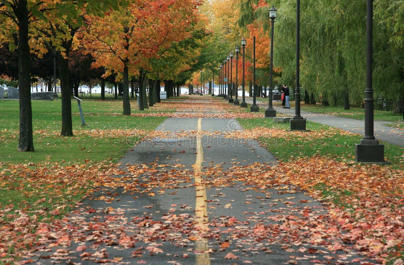 Tree lines in the park stock photo. Image of travel, line 49390920