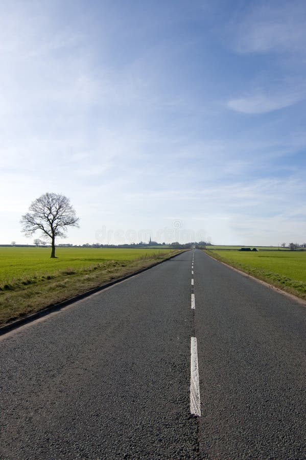 Tree and long road