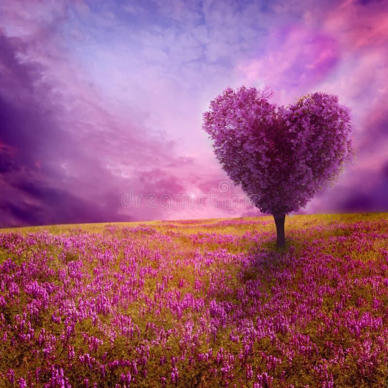 408,592 Tree Love Stock Photos - Free & Royalty-Free Stock Photos from  Dreamstime