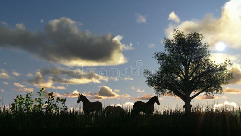 Tree on meadow and horses, time lapse clouds
