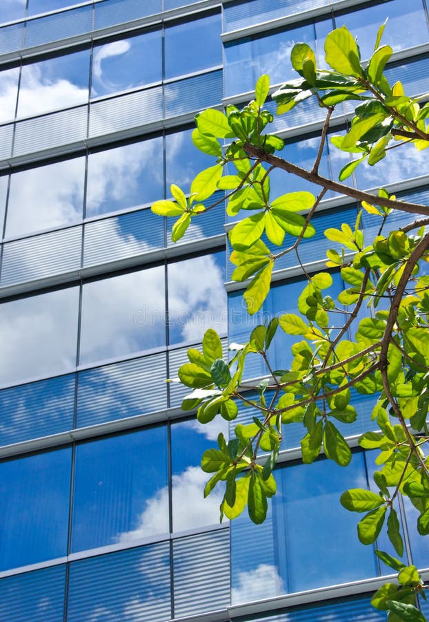 Tree with modern building and sky reflection royalty free stock photos Tree with modern building and sky reflection royalty free stock photos