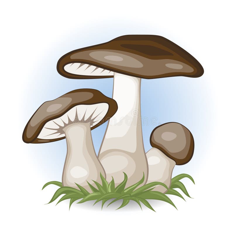 Tree Mushrooms stock illustration. Illustration of large 23316760