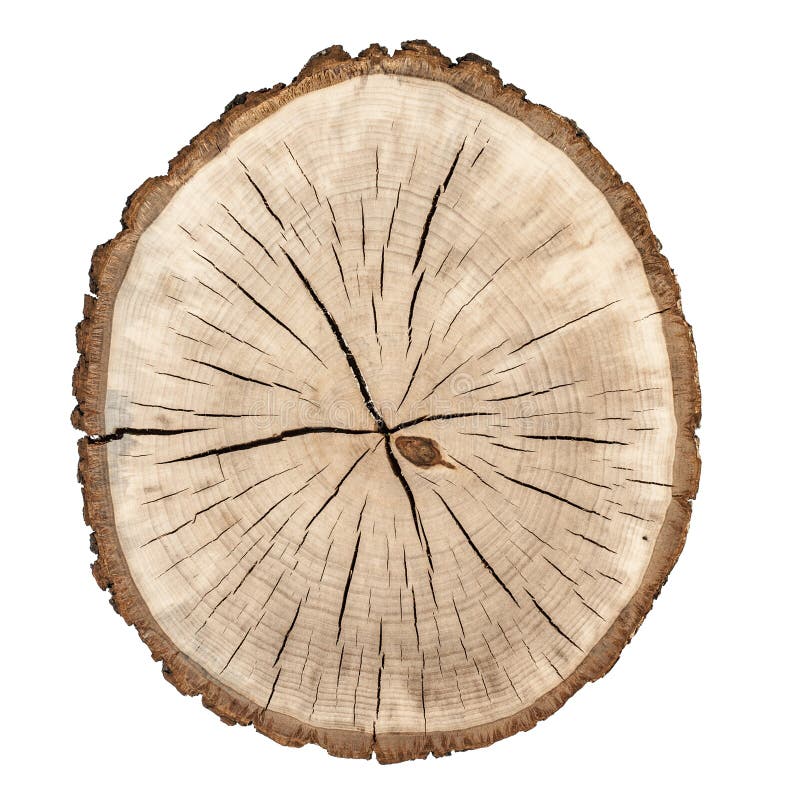 Tree rings