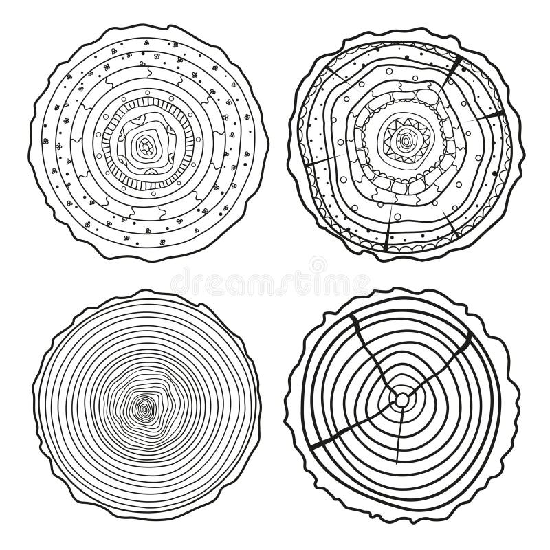 Tree Rings. Set of Cross Section Stock Vector - Illustration of ...