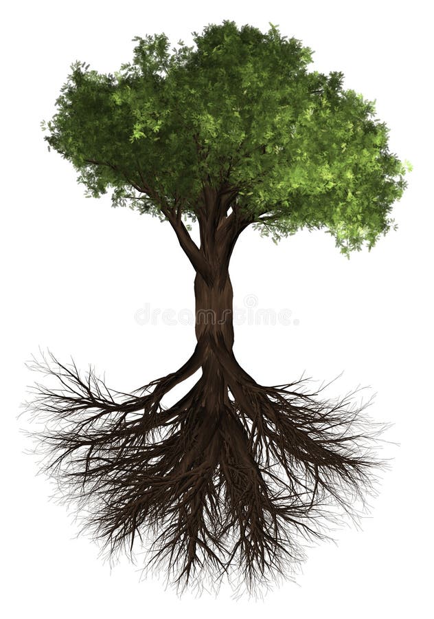Palm Tree Roots Stock Illustrations 393 Palm Tree Roots Stock