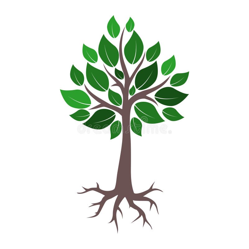 Tree and root logo, tree and root icon stock illustration