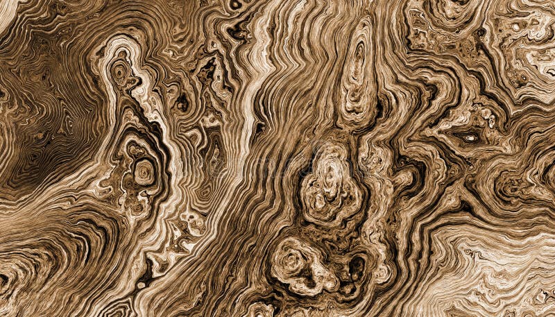 Tree roots curly background vector illustration Tree roots curly background vector illustration