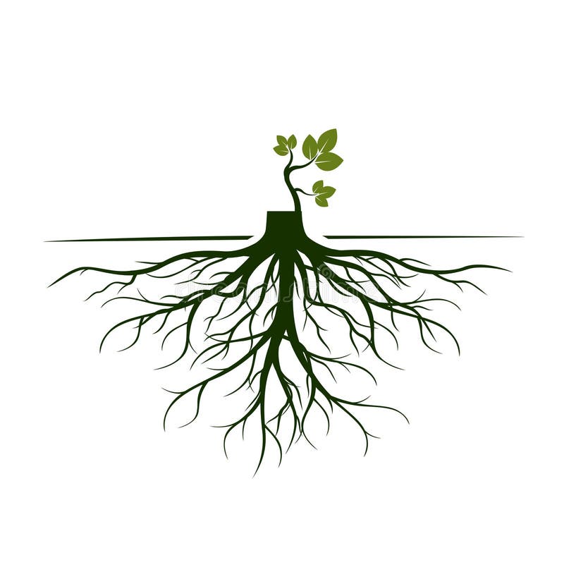 Root element. Дерево с корнями рисунок. Корешок растения вектор. Корни растения векторный. Корень растения вектор.