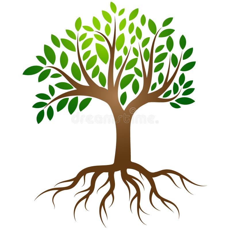 Flat vector design of a gray tree with dense roots of life close-up  isolated. Stylish sketch for tattoo Stock Vector | Adobe Stock