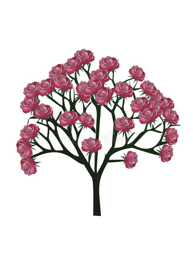 Tree, rose, flower stock illustration. Illustration of interior 61806454