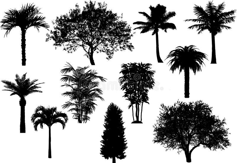 Tree`s silhouette vector illustration set