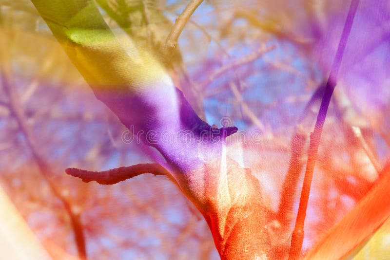 Tree seen through transparent colorful fabric royalty free stock images