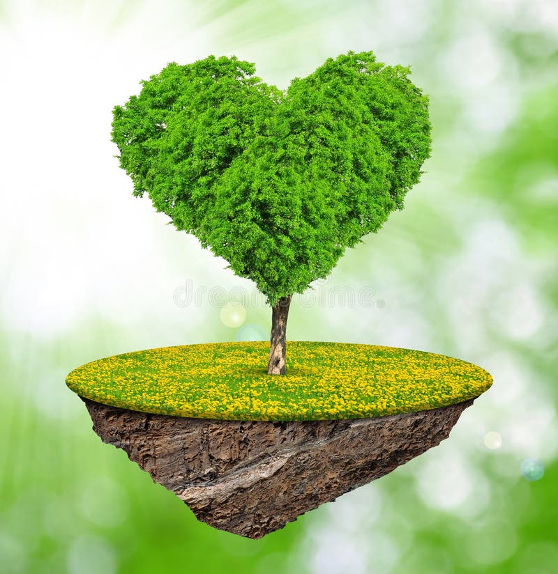 Tree in the shape heart stock photo