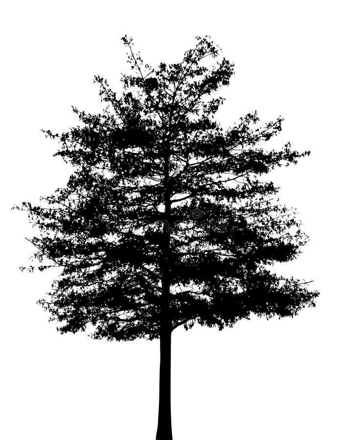 Tree silhouette