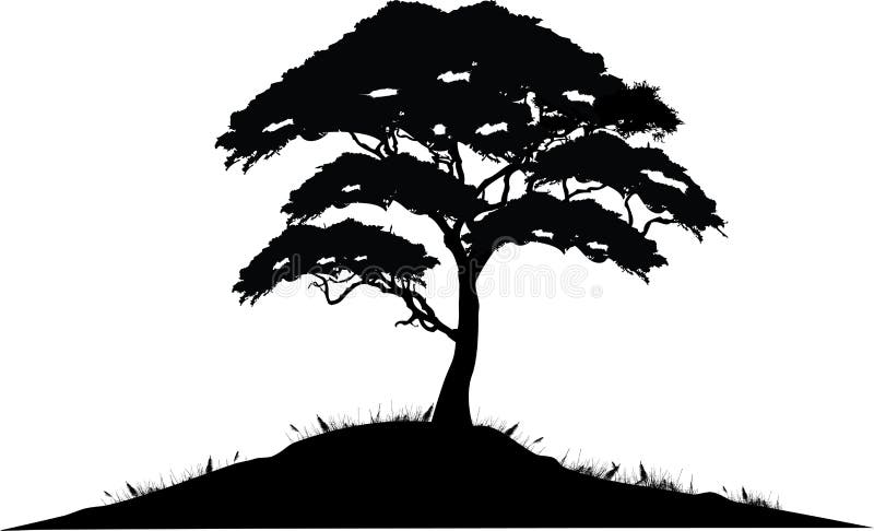 Tree Silhouette