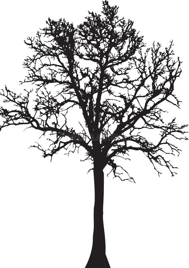 Tree silhouette