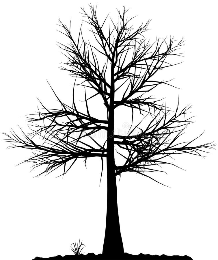 Tree silhouette.