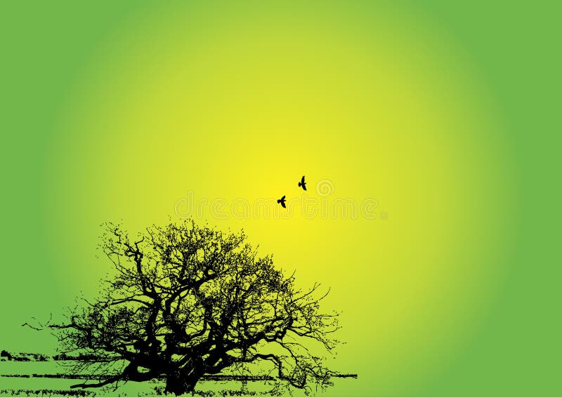 Tree Silhouette Background