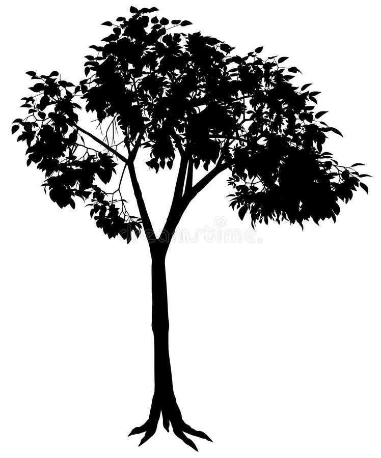 Tree Silhouette