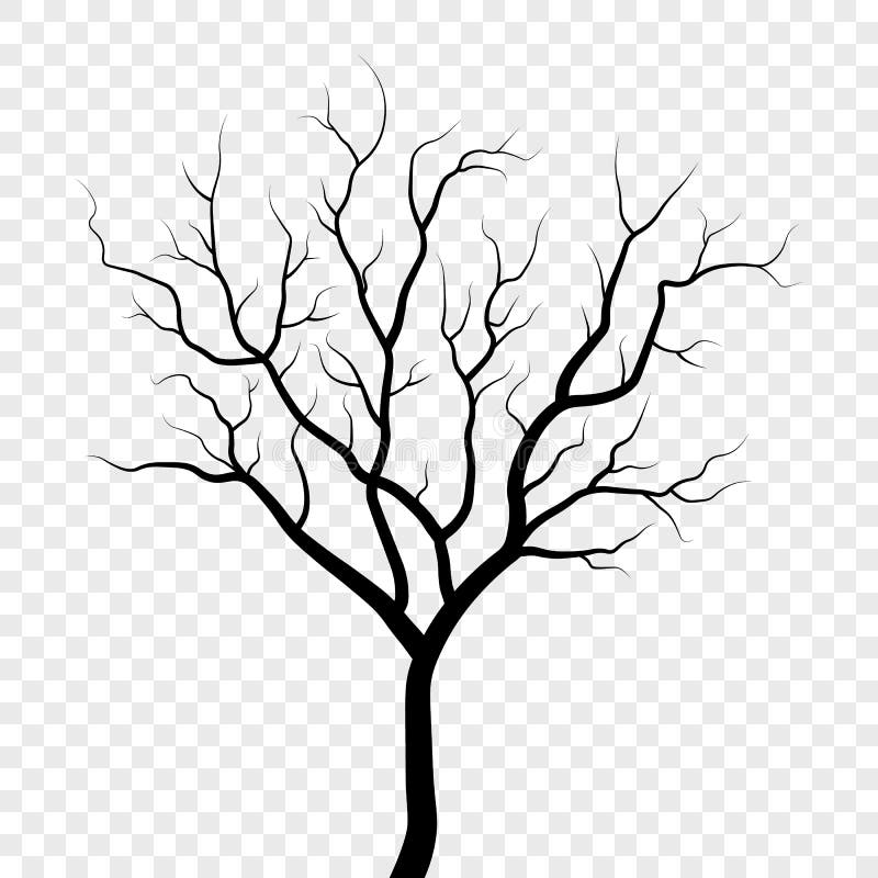 Tree silhouette illustration