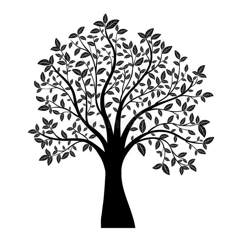 Tree silhouette stock vector. Illustration of white, isolated - 62352270