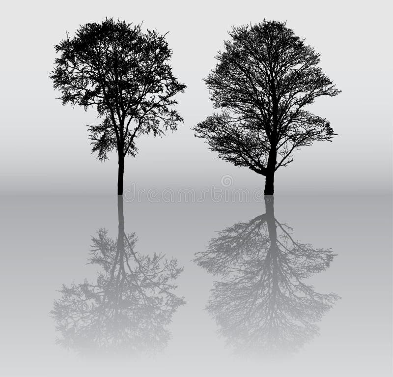 Tree silhouettes stock illustration