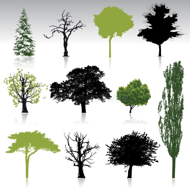 Tree silhouettes collection for your design vector illustration Tree silhouettes collection for your design vector illustration