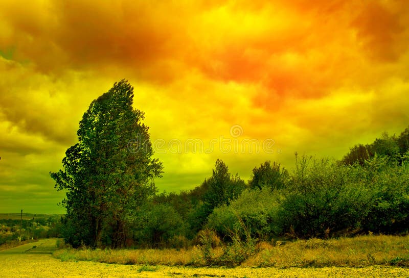 Tree and sky abctract landscape