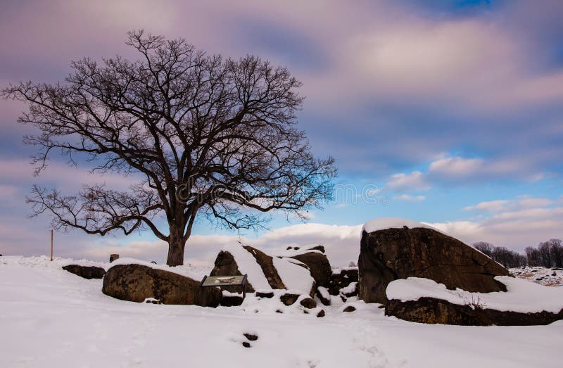 A tree and snow covered rocks at Devil's Den, in Gettysburg, PA royalty free stock photos A tree and snow covered rocks at Devil's Den, in Gettysburg, PA royalty free stock photos