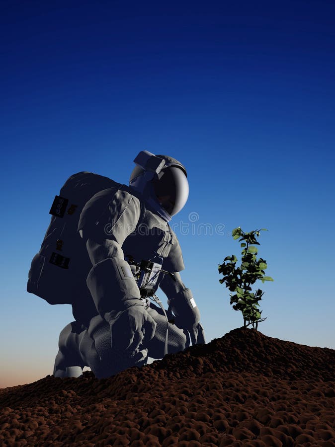 Tree in space. stock illustration. Illustration of nature 127893633