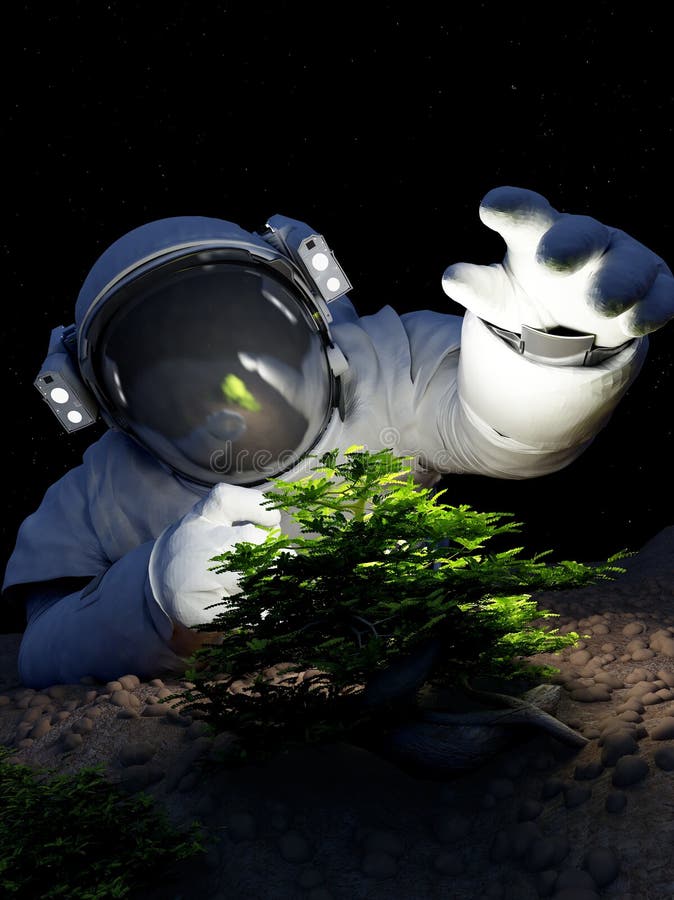 Tree in space. stock illustration. Illustration of engineering 108813830