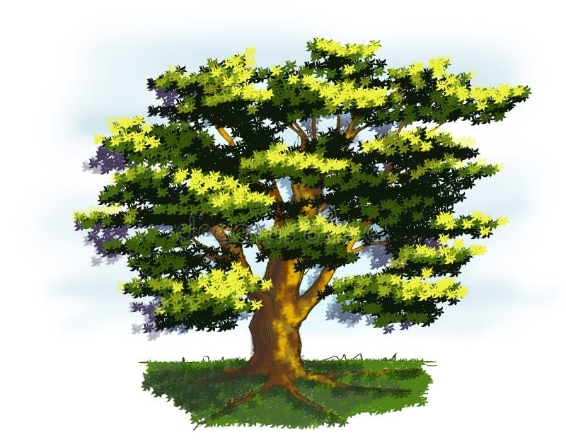 Tree in Springtime stock illustration. Illustration of tree - 7544508