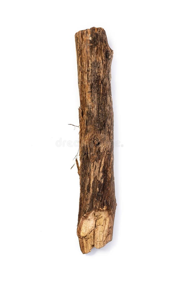 Tree stick isolated royalty free stock photo