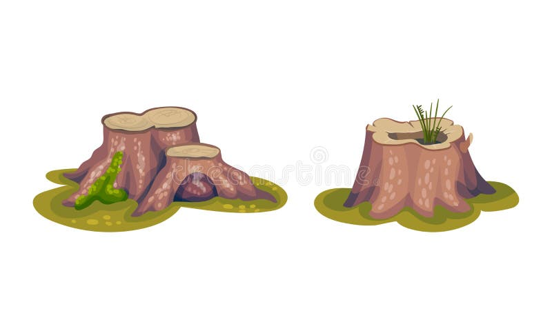 Tree Stump as Small Part of Trunk with Roots in the Ground Vector Set vector illustration