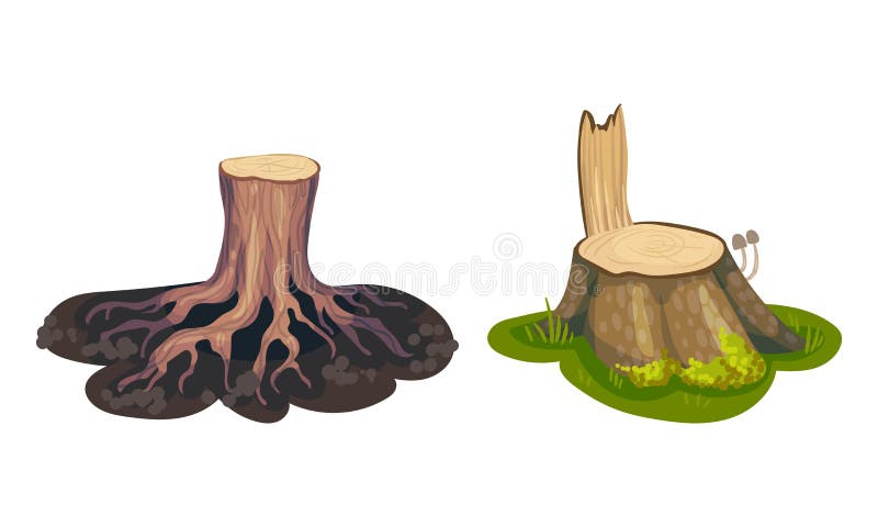 Tree Stump as Small Part of Trunk with Roots in the Ground Vector Set stock illustration