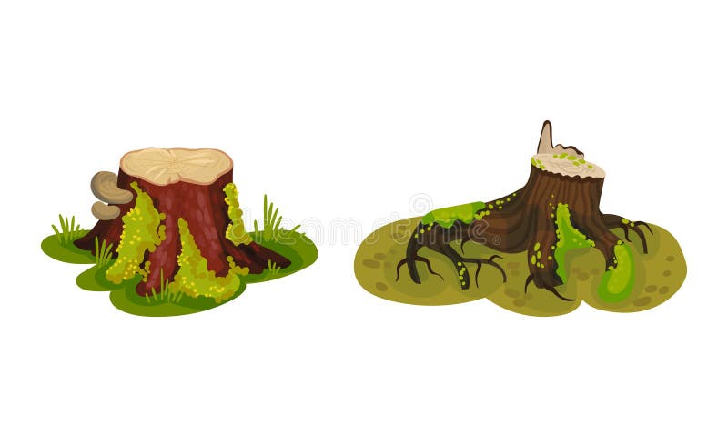 Tree Stump as Small Part of Trunk with Roots in the Ground Vector Set stock illustration