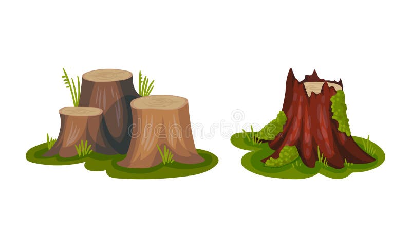 Tree Stump as Small Part of Trunk with Roots in the Ground Vector Set vector illustration