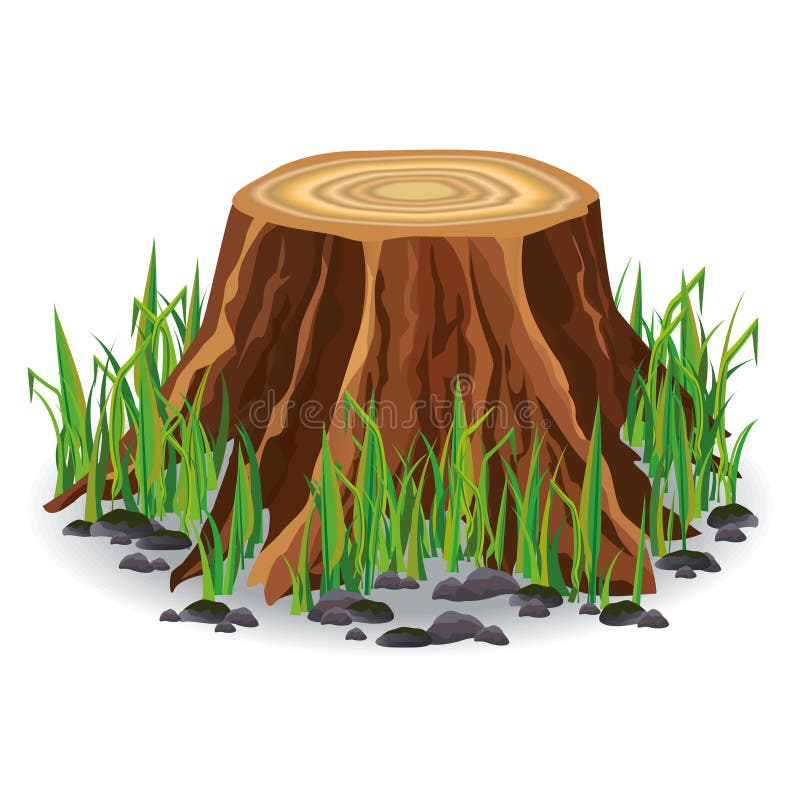Tree stump with green grass
