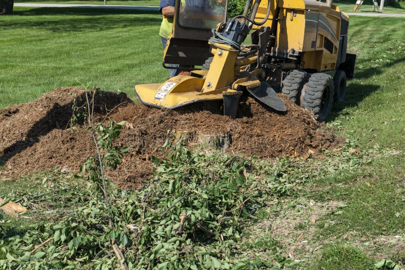Tree Stump Grinding, Removal, Grinder royalty free stock images